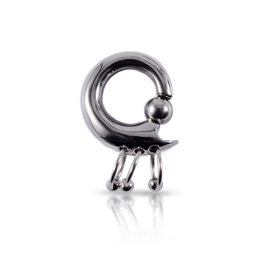 Prince Albert Ring Piercing Silver