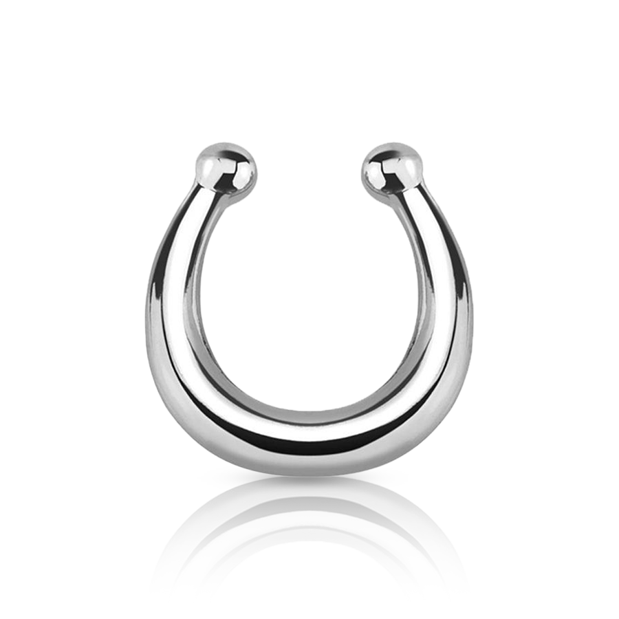 Ring Fake Nose Piercing Silver