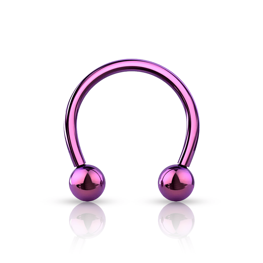 Titanium Smiley Piercing Purple