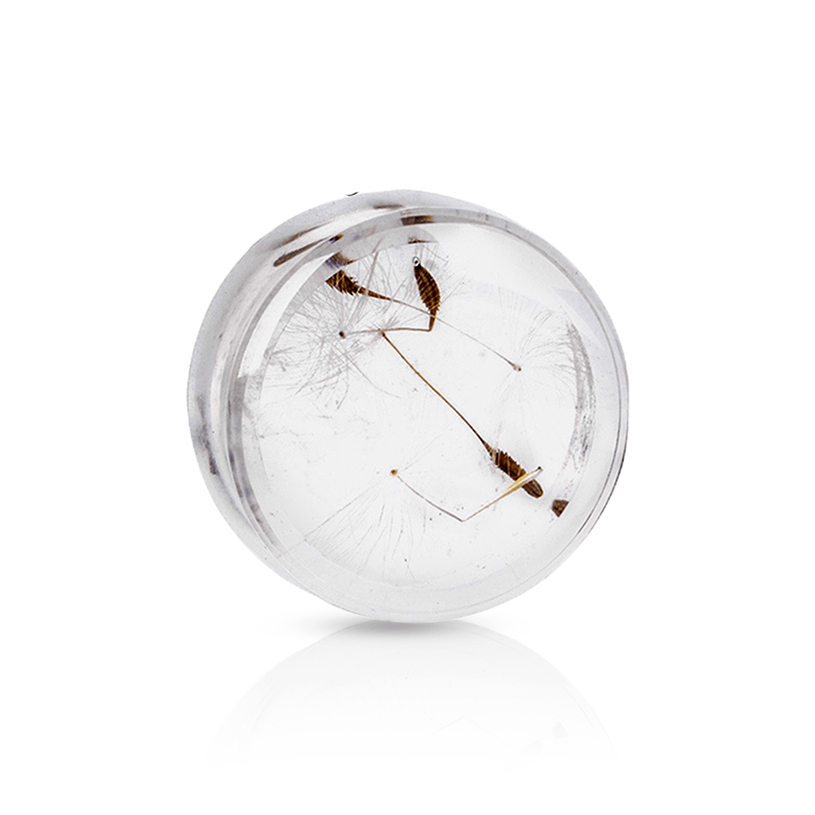 Dandelion Ear Plug 25 mm