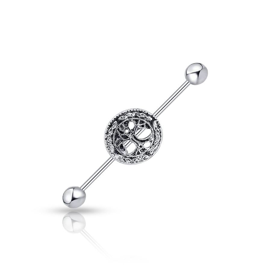 Piercing Industriel Anneau