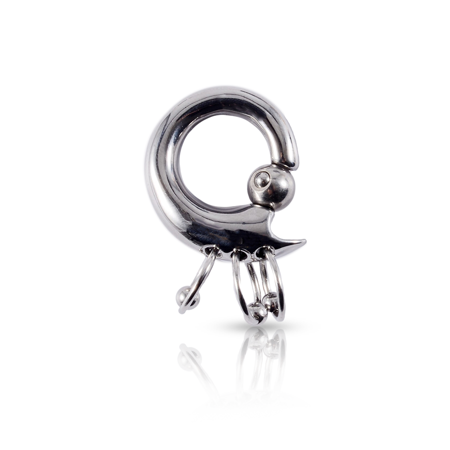 Prince Albert Ring Piercing Silver