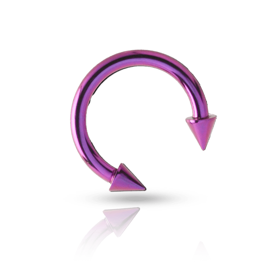Surgical Steel Eyebrow Piercing Purple