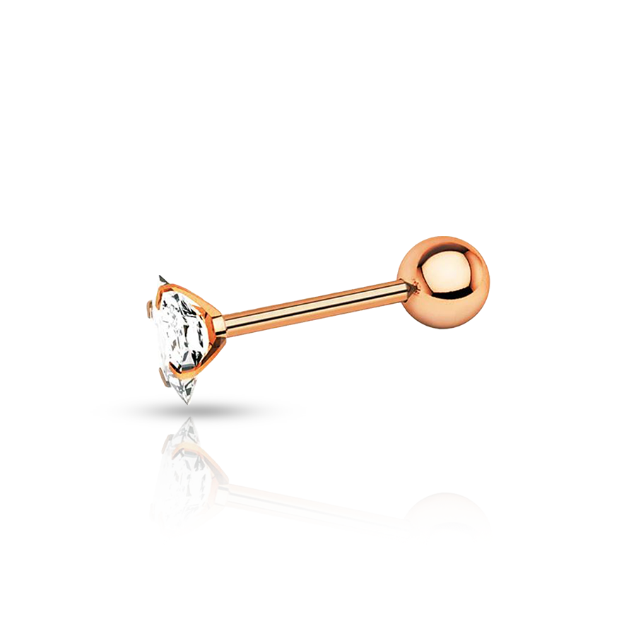 Jewelry Conch  Piercing